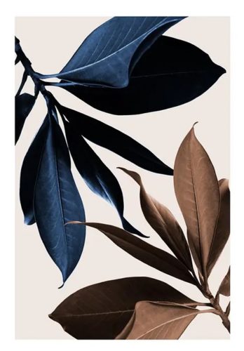 Blue Magnolia No1 (50x70)