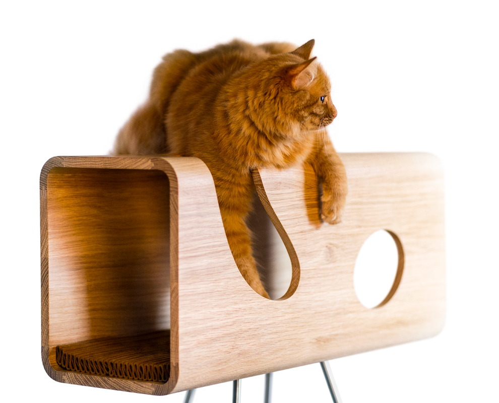 brandodesign
WWW.BRANDODESIGN.IT
brando, cucce, design, interior design, interior decor, arredamento, interni, furnishing, pet furniture, tiragraffi, scratcher, scratching post, cuccia nuova, product design, if design , red dot, big see, cat house, pet supplies, cat, dog, dog lover, cat lover, pet, love my pet, artigianato italiano, stile italiano, italian style, stylish accessories, cat supplies, animal lovers, architettura italiana, casa moderna, minimal style, luxury design, luxury pet, luxury life, luxury furnishing, abitazione, design interni, architetto, pierangelo brandolisio, lettini per cani, lettini per gatti, wooden, pet design, pet shop, cuccia per gatto, cuccia per cane, cuscino per gatto, cuscino per cane, casa per gatto, cushion for dog, cushion for cat, benessere, lusso, vita di lusso, arredamento di lusso, regalo di lusso, articoli di lusso, regalo esclusivo, living with pet, pet comfort, letto per cane, letto per gatto, qualit italiana, stile italiano, italian style, modern pet, pet fashion, elia falaschi, elia falaschi fotografo