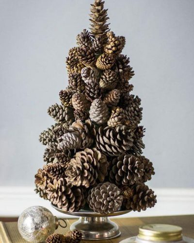 Pinecones
